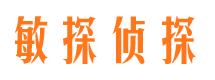 新浦市侦探公司